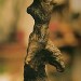 Sculpture bronze"L'homme branche"/Valia